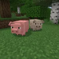 Мод на фермерских животных для Minecraft PE