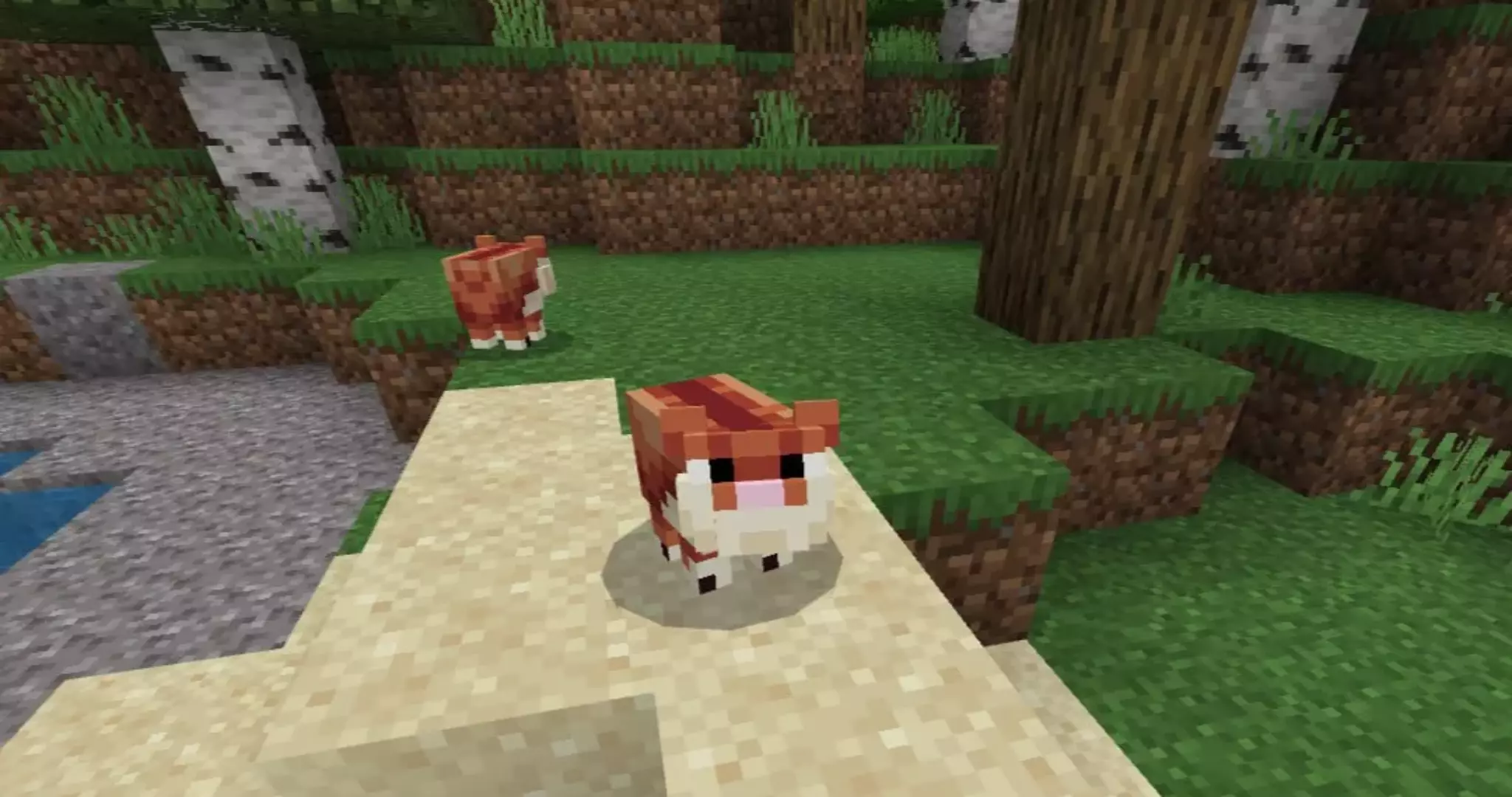 Мод на милых животных для Minecraft PE