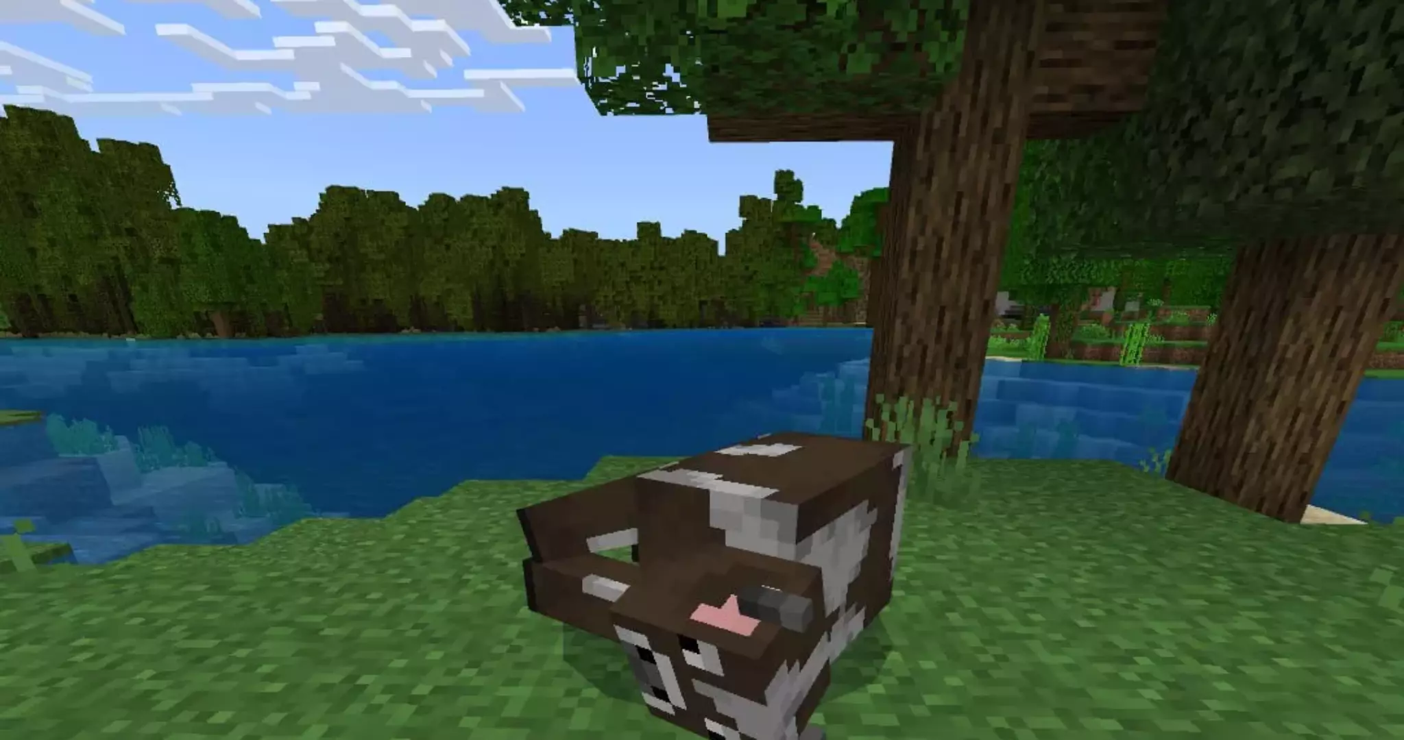 Мод на разделку животных для Minecraft PE