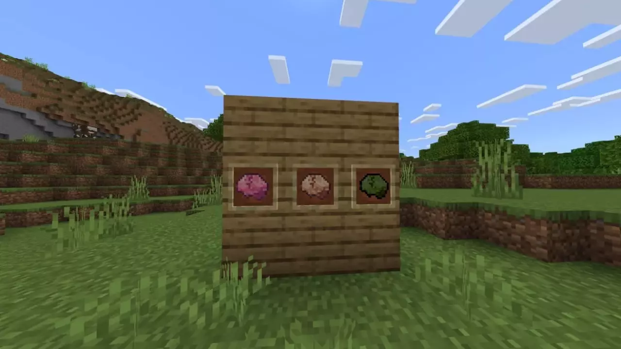 Мозги для мода на каннибалов для Minecraft PE