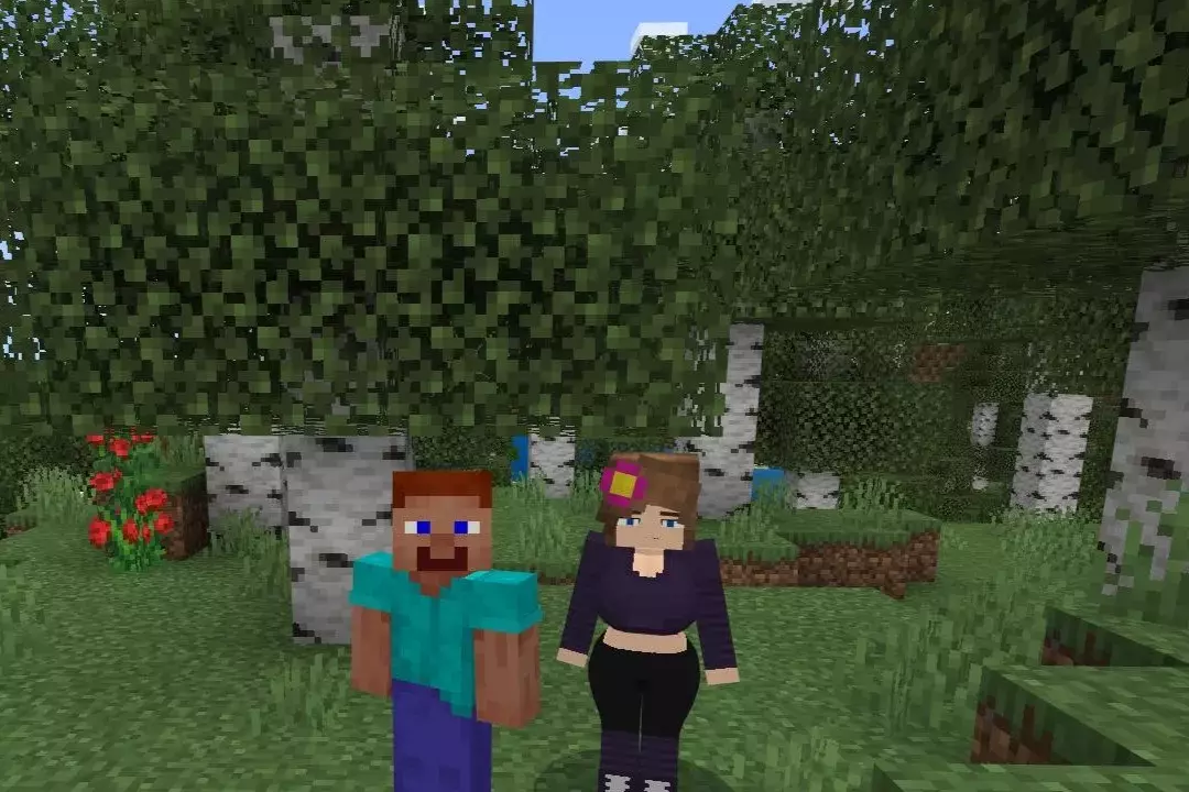 Скачать Мод на секс для Minecraft PE