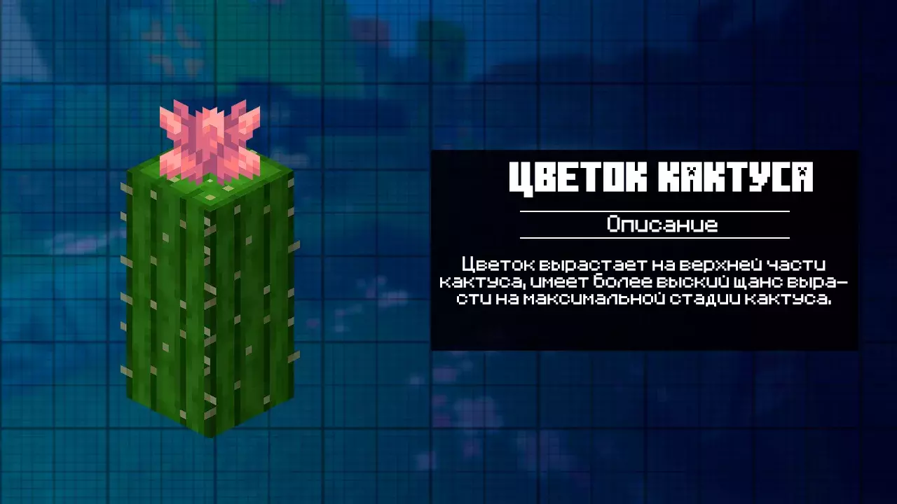 Цветок кактуса для Майнкрафт 1.22