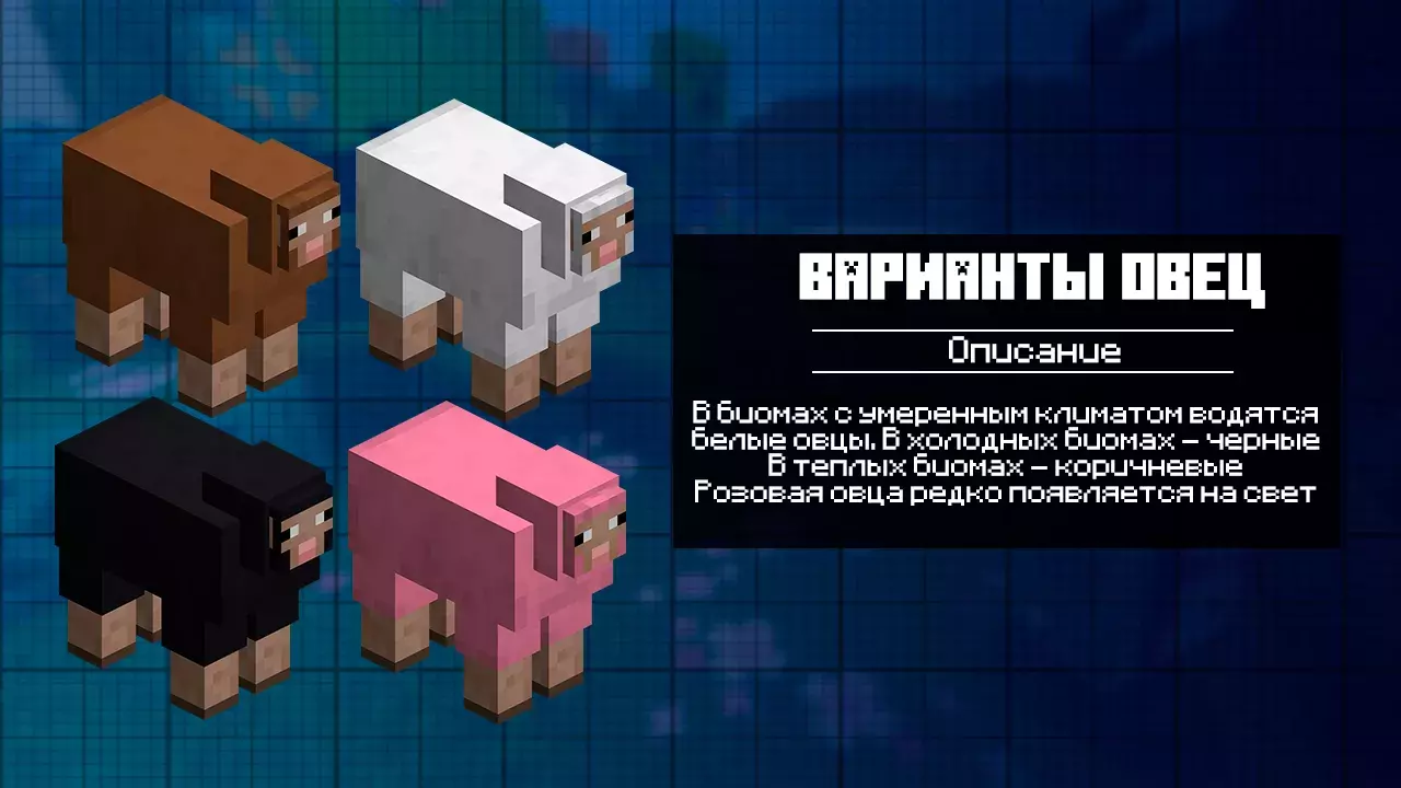 Варианты Овец для Майнкрафт 1.22
