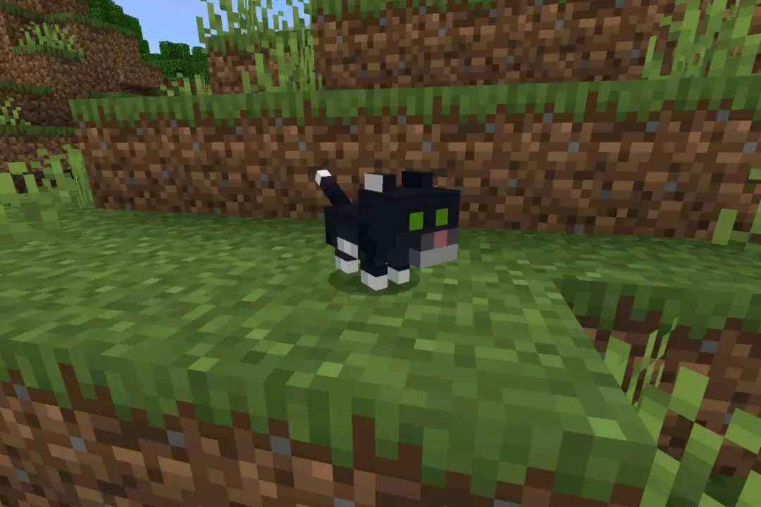 Скачать Minecraft 26.11 / 1.26.11