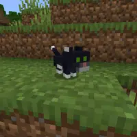 Скачать Minecraft 26.11 / 1.26.11