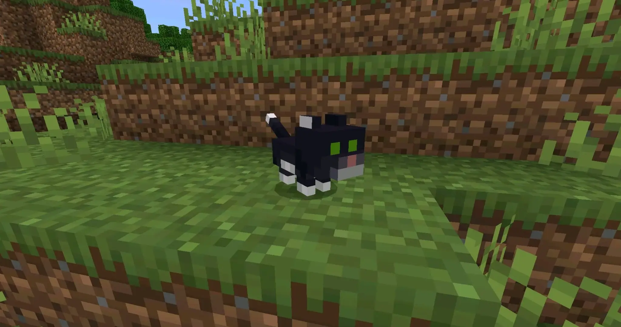 Скачать Minecraft 26.11 / 1.26.11