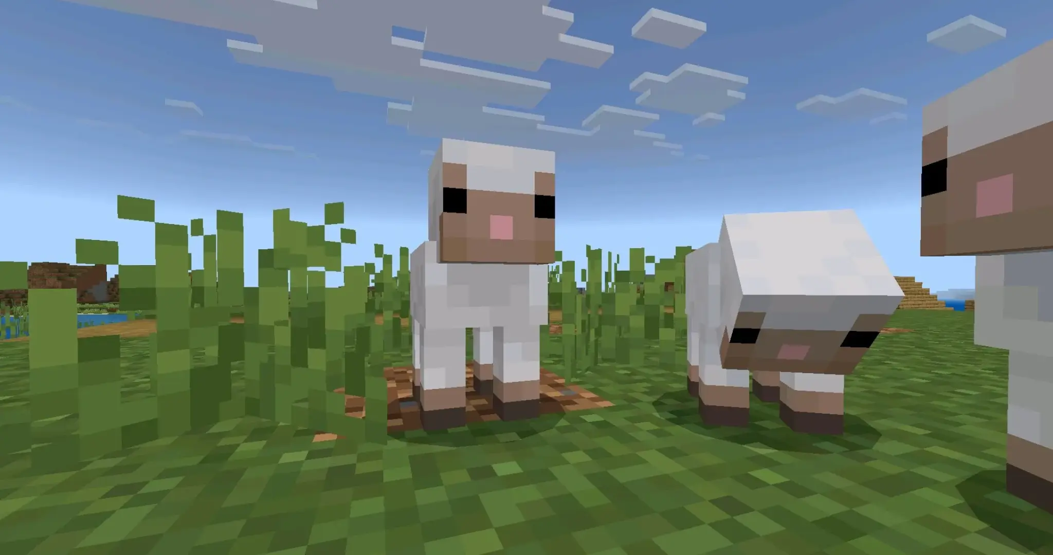 Скачать Minecraft 26.13