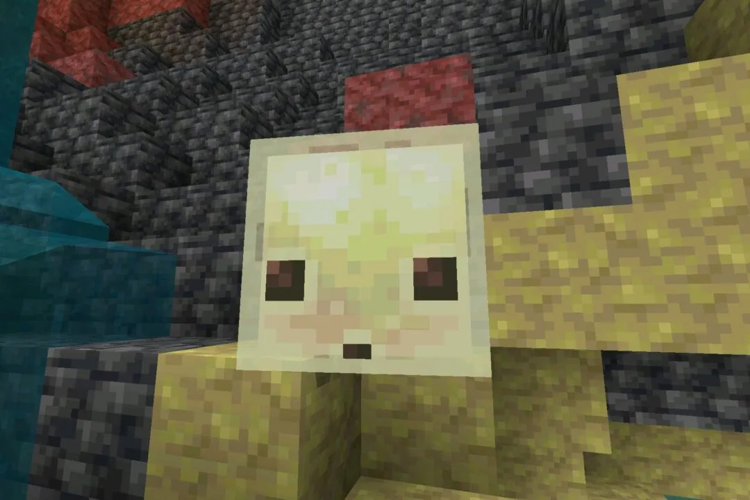 Скачать Minecraft 26.33