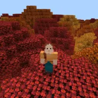 Скачать Minecraft 26.51