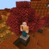 Скачать Minecraft 26.50